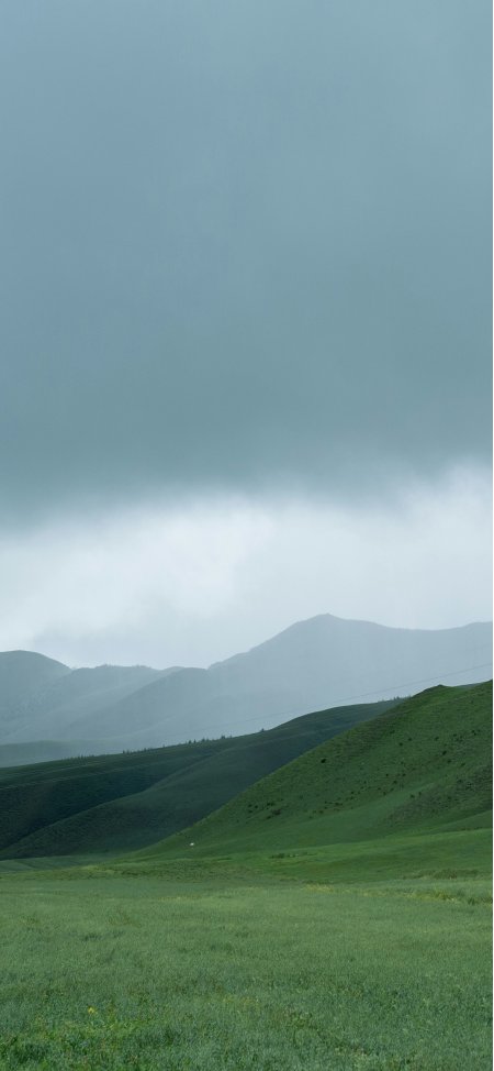绿色草原连绵起伏云雾缭绕宁静田园风光风景手机壁纸