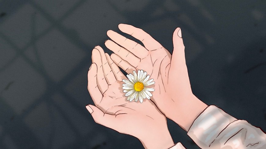 双手捧雏菊简约线条手绘治愈系创意插画电脑壁纸