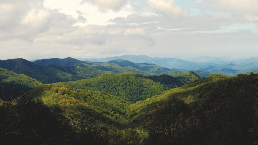 蓝岭山脉层叠绿林云海自然风光风景电脑壁纸