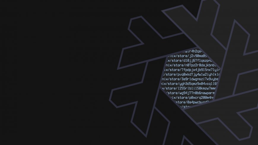 NixOS系统雪花图标代码界面极简科技风创意电脑壁纸