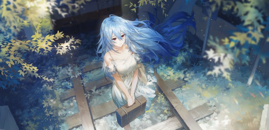 EVA新世纪福音战士绫波丽提箱行走铁轨森林少女动漫电脑壁纸