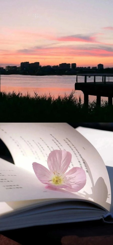 晚霞湖面栈道与书页夹粉色花朵文艺风光风景手机壁纸