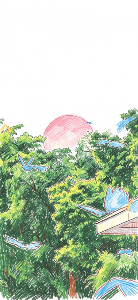 绿树飞鸟粉日手绘风景创意手机壁纸