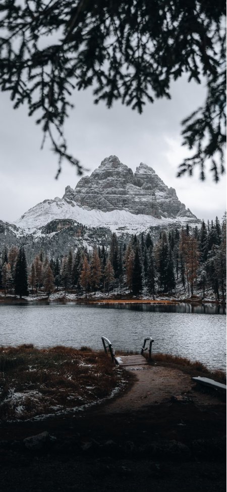 雪山湖泊松林小径秋冬自然风光风景手机壁纸