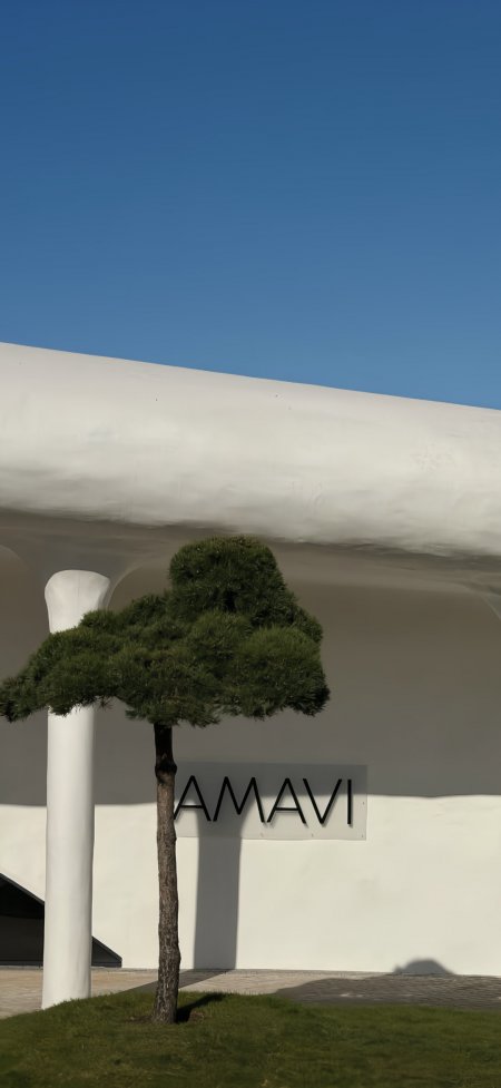 AMAVI建筑前绿树蓝天极简风光风景手机壁纸