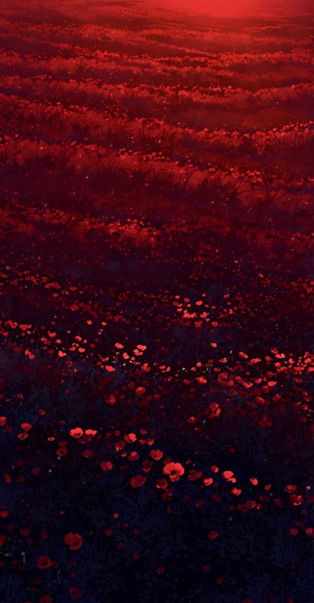 深红罂粟花田渐变层次神秘氛围动漫风景插画手机壁纸壁纸