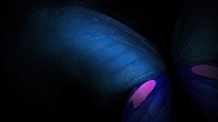 深蓝蝴蝶翅膀带粉斑暗夜微光创意电脑壁纸