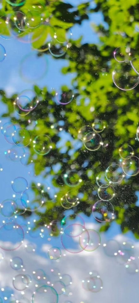 彩色泡泡飘浮绿叶蓝天梦幻自然创意手机壁纸