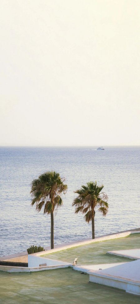 海边棕榈树远船极简风景手机壁纸