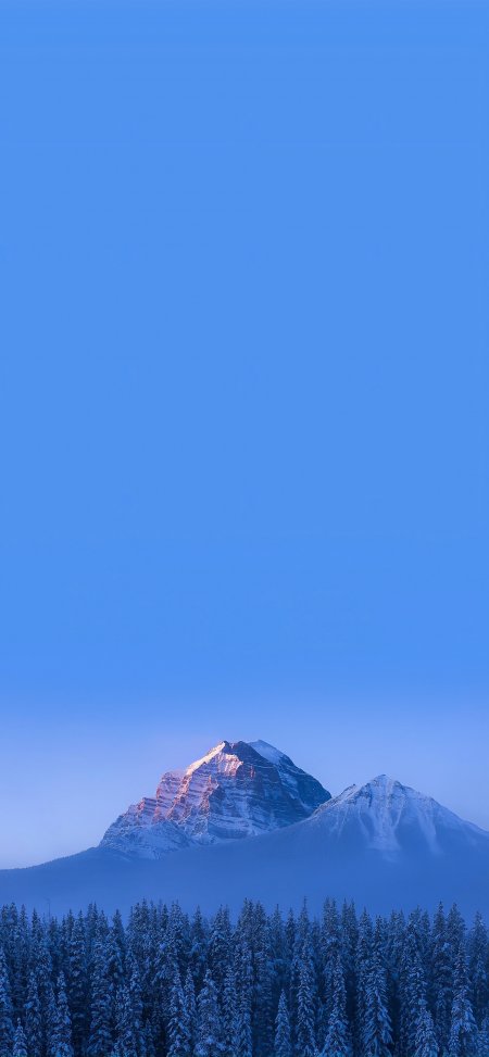 雪覆山巅松林静立冬日高山风光风景手机壁纸