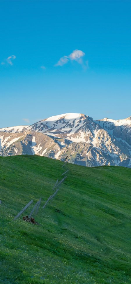 绿坡木栏远眺雪山新疆草原风光风景手机壁纸