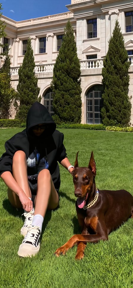 黑衣美女与杜宾犬草坪合影时尚人像摄影手机壁纸