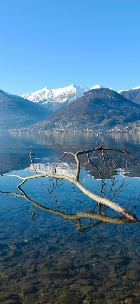 科莫湖雪山倒影枯枝意境风光风景手机壁纸