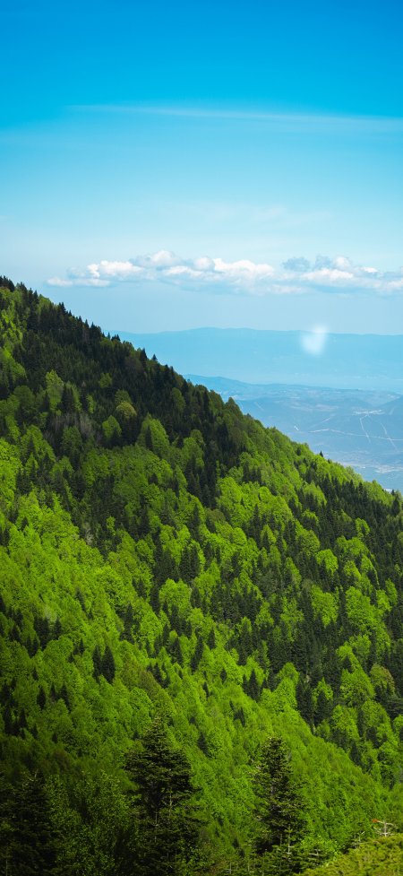绿野连绵蓝天白云开阔自然风光风景手机壁纸