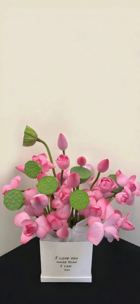 粉色荷花莲蓬花束浪漫治愈系植物风景手机壁纸