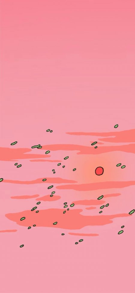 粉色水面漂浮绿叶与红日极简手绘抽象风景手机壁纸