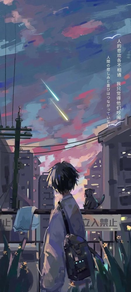 动漫少年背影流星划过城市夜空文艺插画手机壁纸