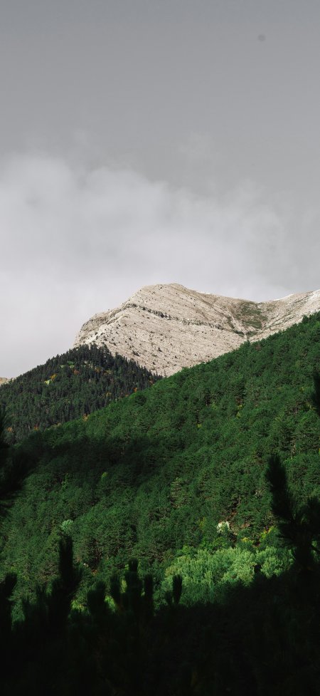 苍翠山林巍峨雪峰静谧自然风光风景手机壁纸