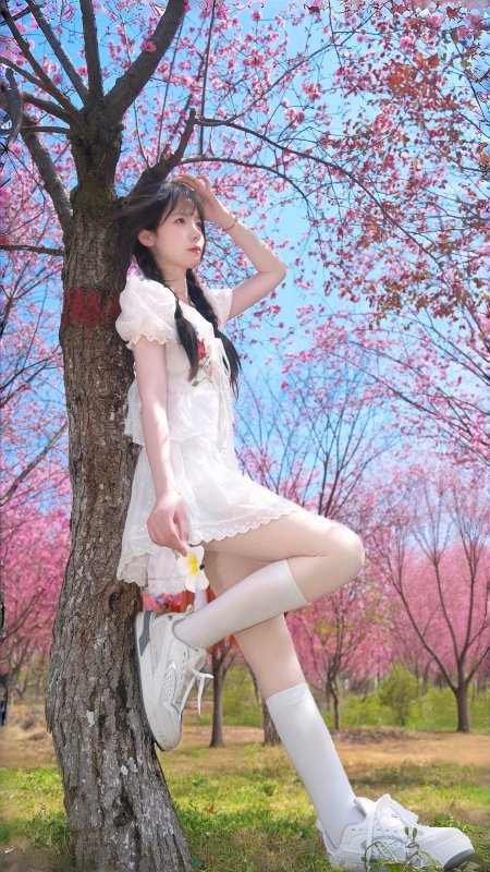 美女依靠树干手拿白花粉色花海背景森系清新人物摄影手机壁纸