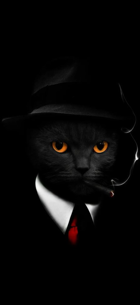黑猫戴帽叼雪茄酷炫暗黑系创意插画手机壁纸
