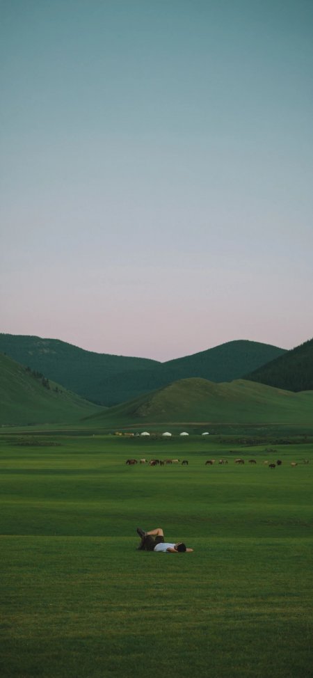 辽阔草原男子躺卧远山牧群静谧自然风光风景手机壁纸