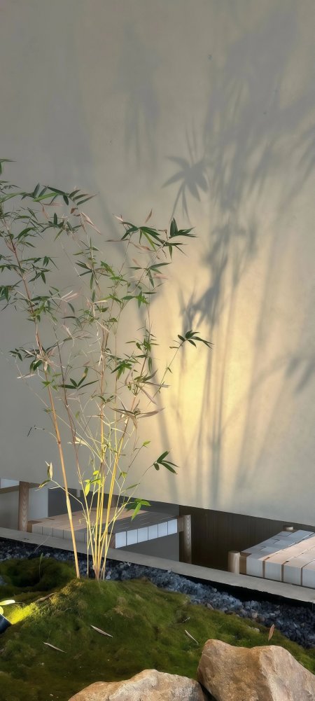 竹影斑驳苔藓石景禅意中式庭院风景手机壁纸