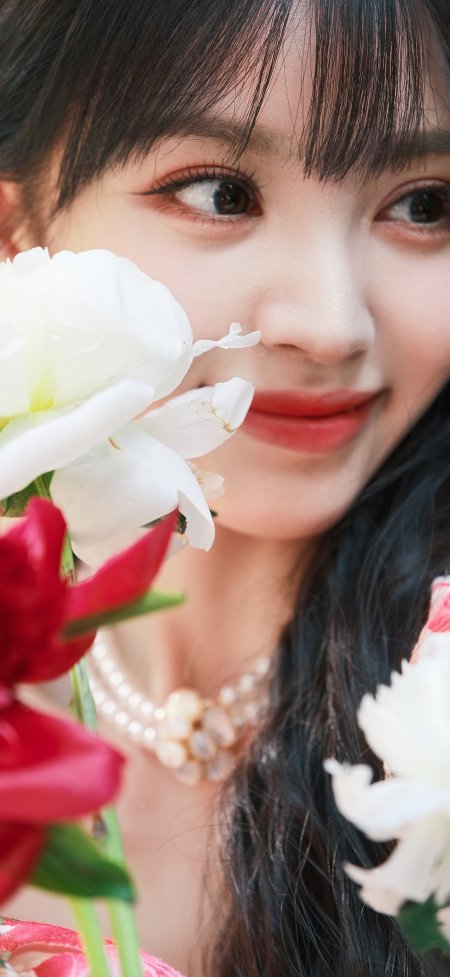 鲜花簇拥下田曦薇侧脸微笑温柔人物摄影手机壁纸