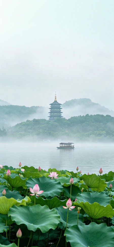 杭州西湖雷峰塔荷花游船烟雨江南诗意风景手机壁纸
