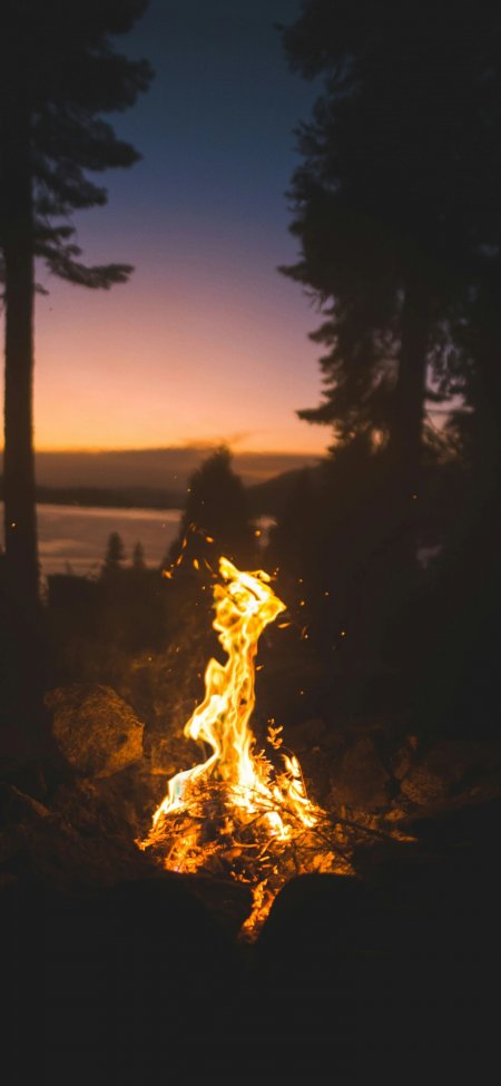 森林篝火夜景唯美自然风光风景手机壁纸