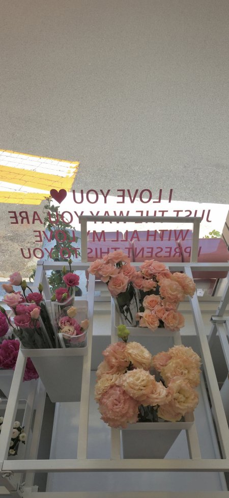 粉色玫瑰花束陈列花店橱窗浪漫花卉风景手机壁纸