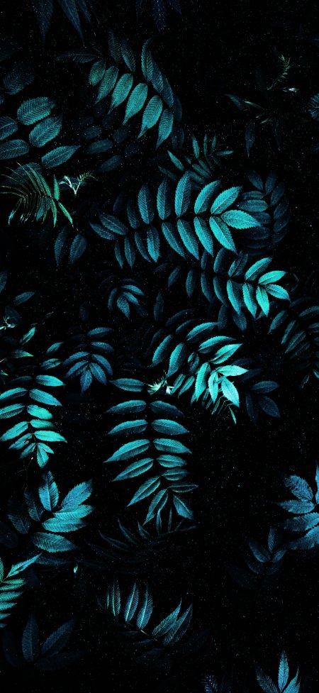暗夜中青绿色叶片错落分布星点微光点缀神秘植物纹理暗黑风手机壁纸