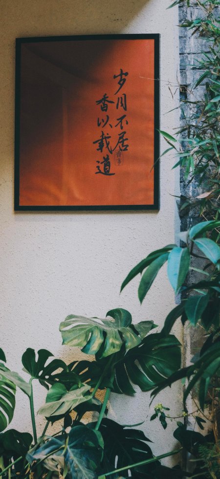岁月不居香以载道书法挂画搭配绿植文艺摄影手机壁纸