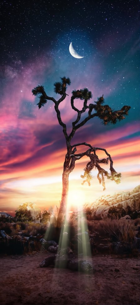 约书亚树矗立星空下月牙高悬沙漠黄昏唯美自然风光风景手机壁纸