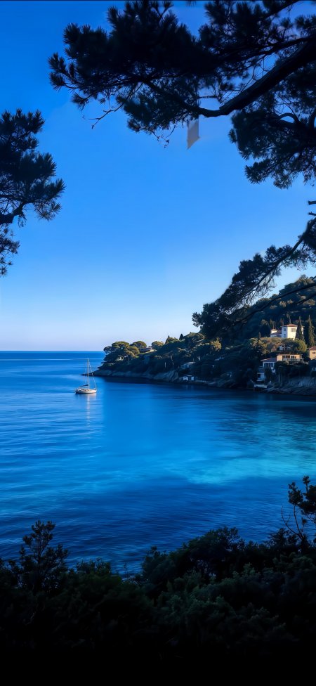 地中海松枝掩映蔚蓝海湾帆船静谧停泊文艺风景摄影手机壁纸
