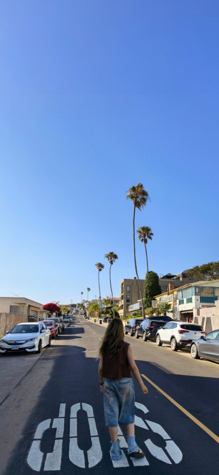 加州棕榈树街道美女背影漫步阳光治愈系街头风景摄影手机壁纸