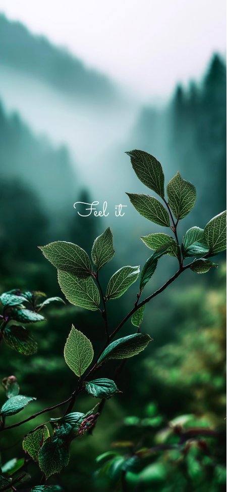森林绿叶特写雾气缭绕清新自然摄影风景手机壁纸