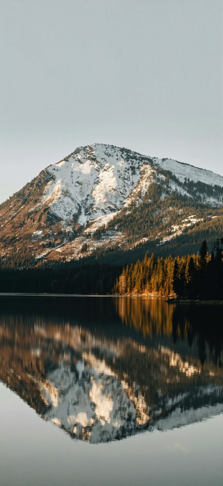 雪山湖泊晨雾倒影金秋治愈自然风景手机壁纸