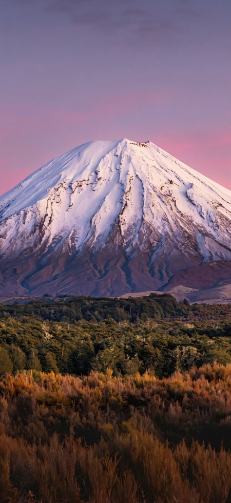 粉霞雪山火山秋草唯美风景手机壁纸