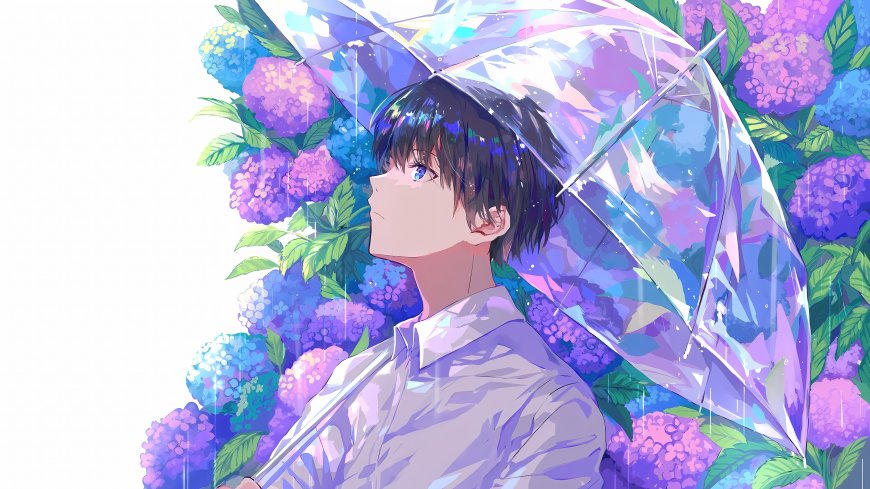 雨中动漫少年透明伞紫阳花治愈二次元动漫电脑壁纸