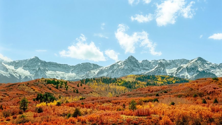 深秋雪山脚下红叶彩林壮丽自然风景电脑壁纸