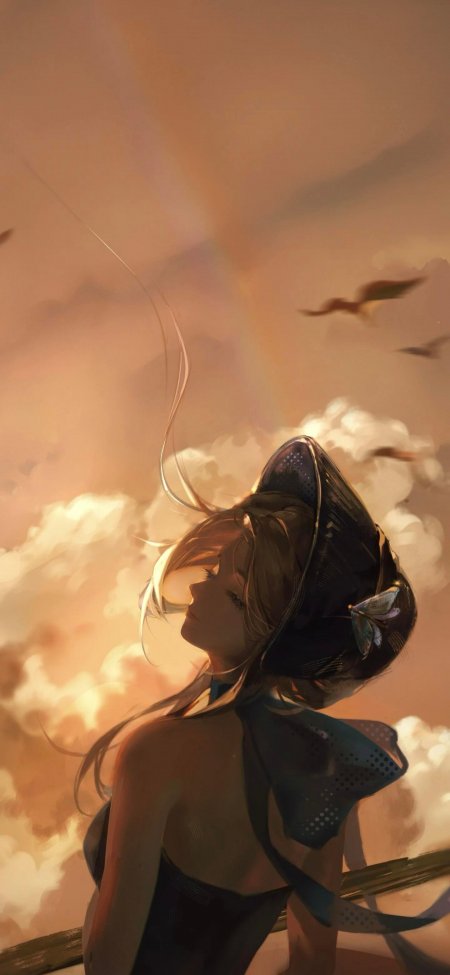 少女回眸仰望落日霞云彩虹蝴蝶梦幻唯美插画动漫手机壁纸