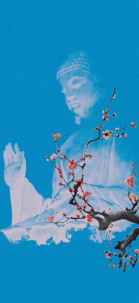 蓝色佛陀樱花枝水墨禅意情感文艺手机壁纸