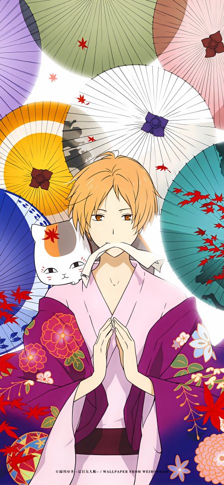 夏目贵志樱花春日和猫咪老师动漫手机壁纸