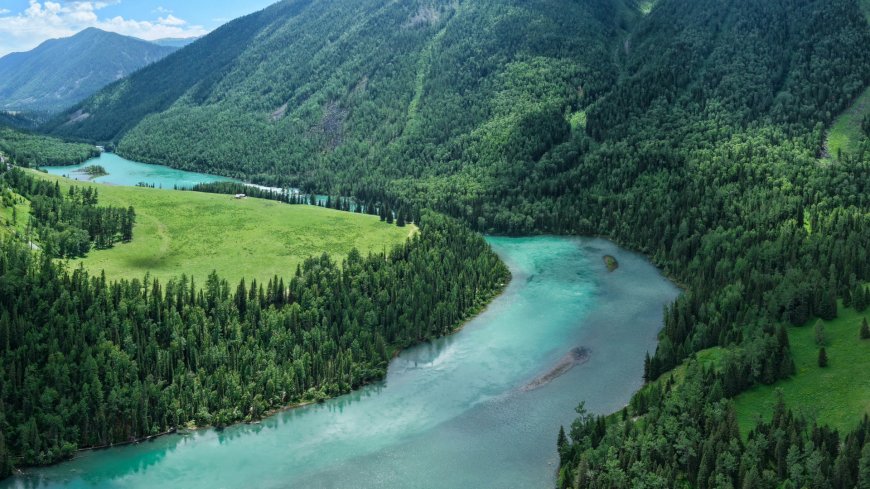 新疆喀纳斯翠绿河湾森林风景电脑壁纸