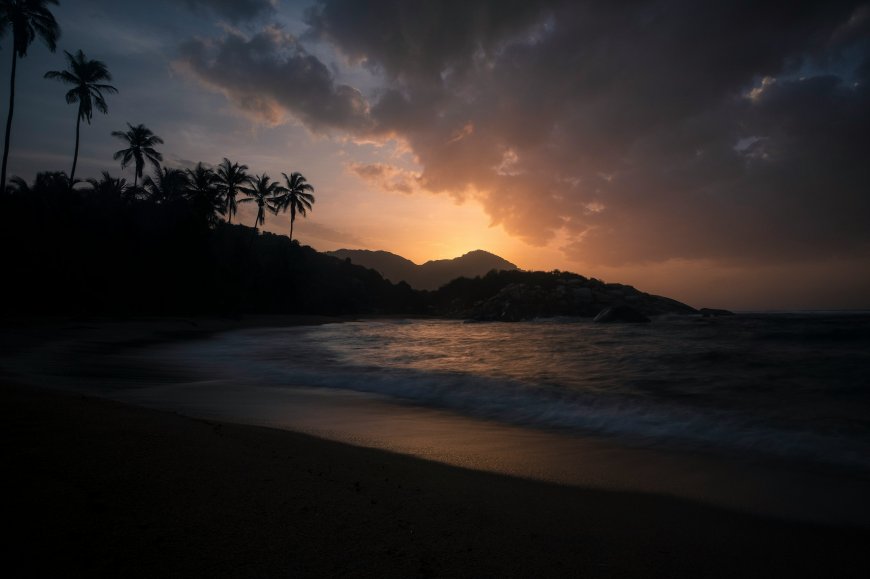 热带海滩椰子树夕阳剪影风景电脑壁纸