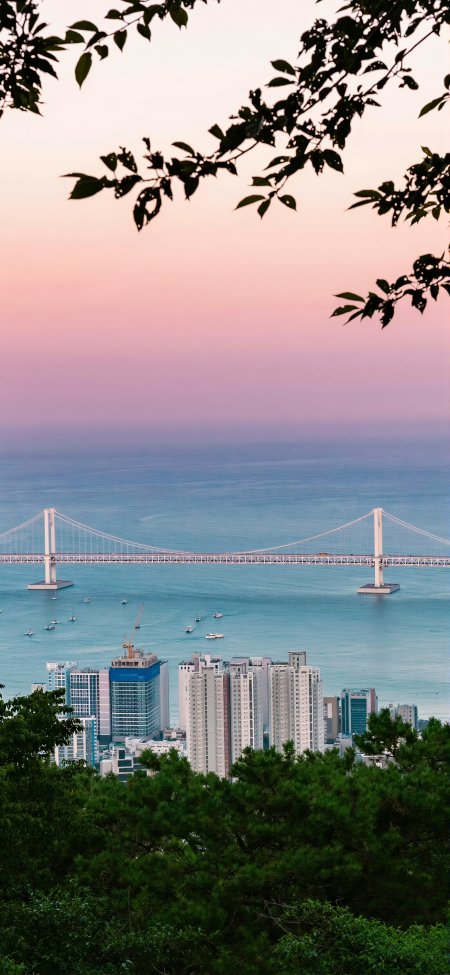 釜山广安大桥粉霞海景风景手机壁纸