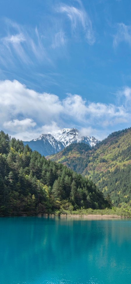 碧绿湖水雪山森林晴空壮美风景手机壁纸