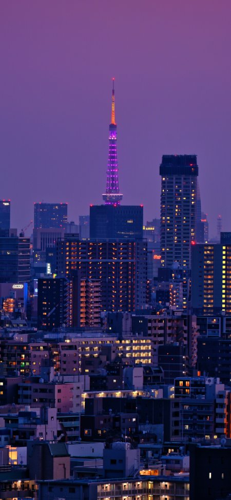 东京塔紫夜都市灯火璀璨夜景风景手机壁纸