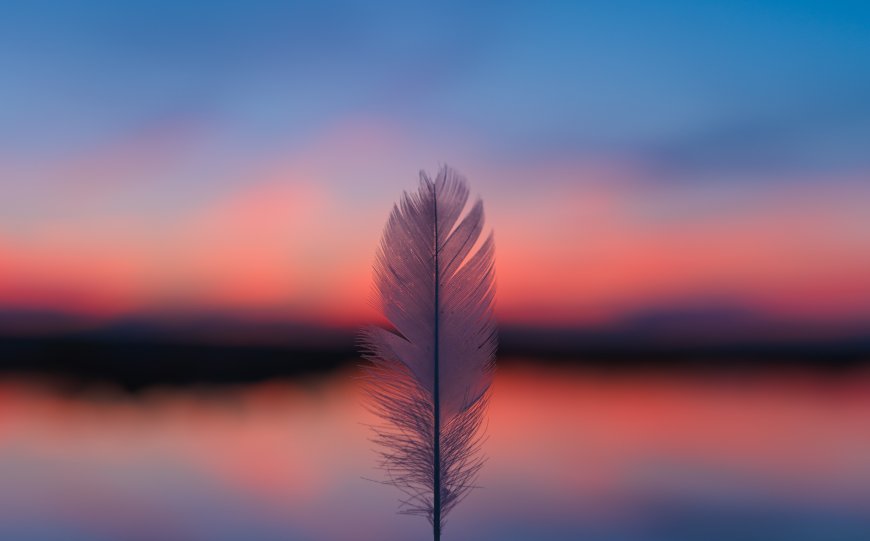 羽毛晚霞湖面倒影唯美风景电脑壁纸