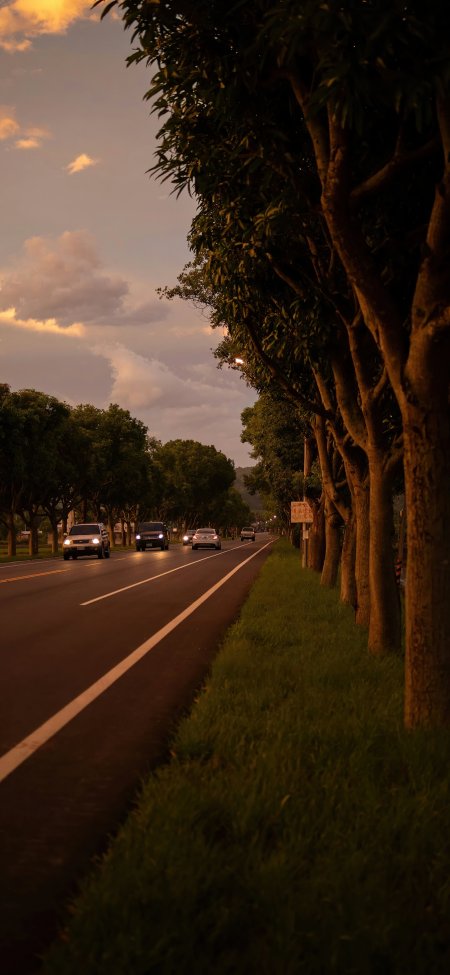 黄昏公路行车金色夕阳风景手机壁纸